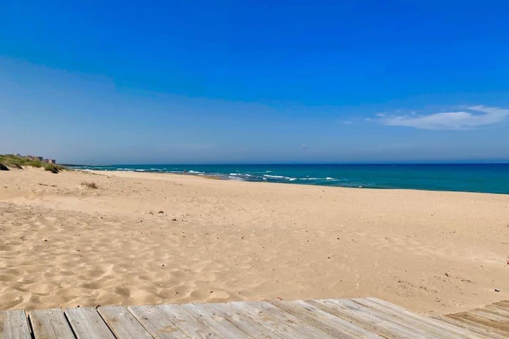Azul Beach By La Mata Beach Torrevieja Exteriér fotografie